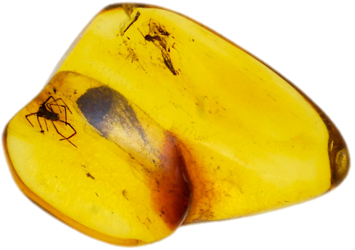 2,10 g Amber Nugget with inclusion (1)