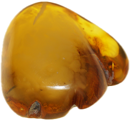 19,55 g Amber Nugget (3)