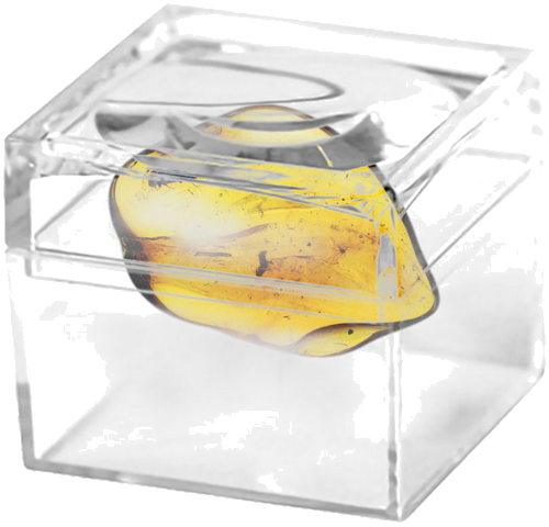 1,40 g Amber Nugget with inclusion (2)