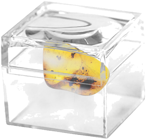 0,80 гр. Самороден кехлибар с фосил (2)