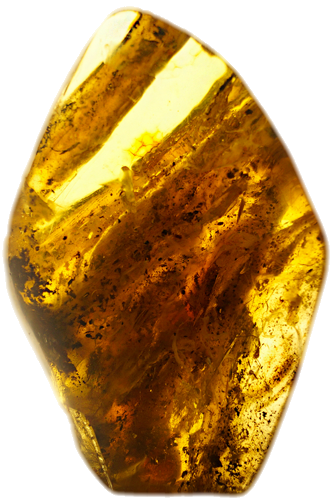 166 g Amber Nugget (2)