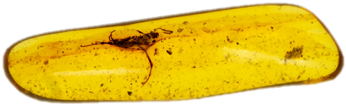 0,70 g Amber Nugget with inclusion (1)