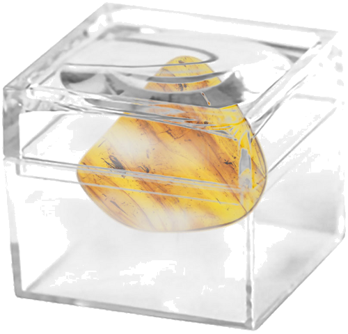 2,45 g Amber Nugget with inclusions (2)