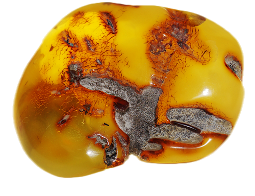 19,55 g Gintaro grynuolis (1)