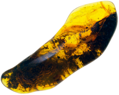 5,40 g Amber Nugget with inclusion (1)