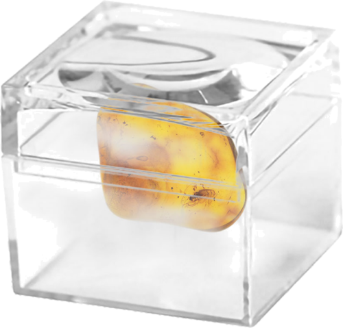 1,45 g Amber Nugget with inclusion (2)