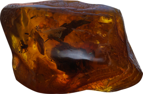28 g Amber Nugget with inclusions (1)