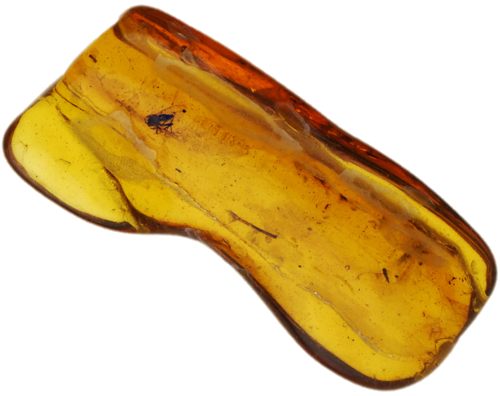 1,00 g Gintaro grynuolis su inkliuzu (1)