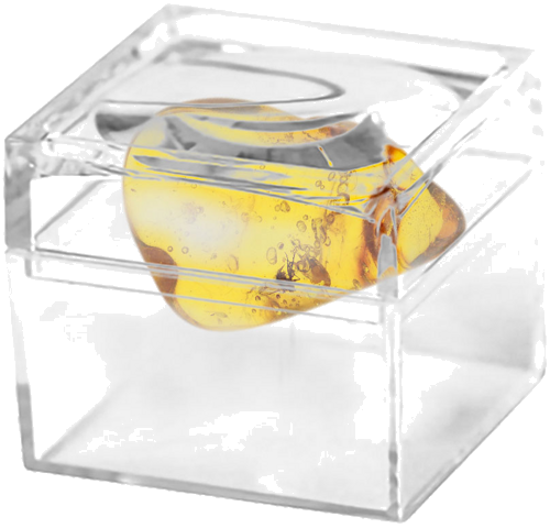 2,75 g Gintaro grynuolis su inkliuzu (2)