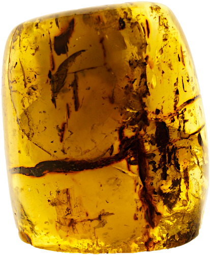 158 g Gintaro grynuolis (4)