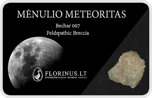 Lunar Meteorite (1)