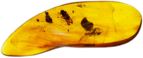 1,20 гр. Самороден кехлибар с фосил (1)