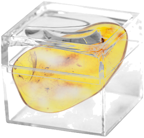 4,80 g Amber Nugget with inclusion (2)