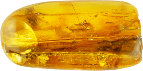 18,75 гр. Самороден кехлибар с фосил от пеперуда (4)