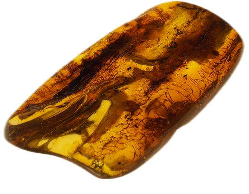 19 g Amber Nugget with 7 inclusions (3)