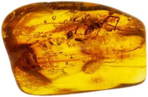 1,75 g Amber Nugget with Spider inclusion (1)
