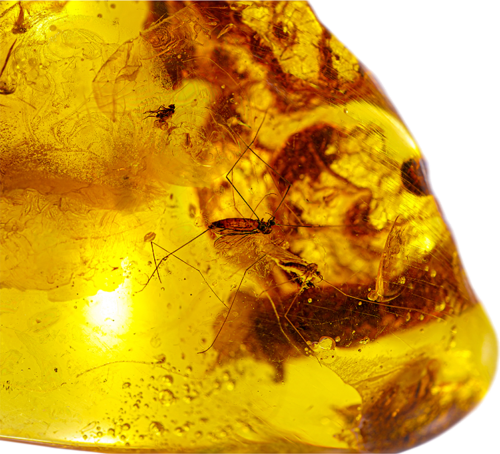 29,90 g Amber Nugget with inclusion (3)