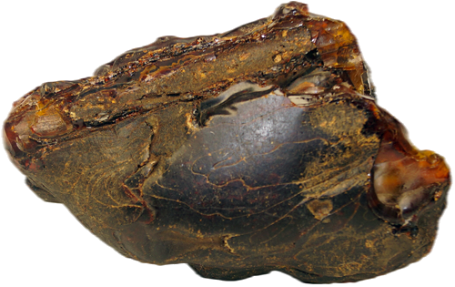 300 g Gintaro grynuolis (1)