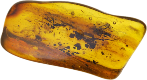 4,70 g Amber Nugget with inclusion (1)