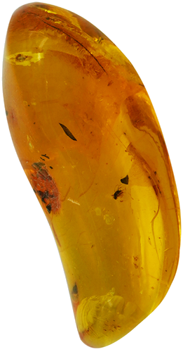 14,05 g Amber Nugget with inclusion (1)