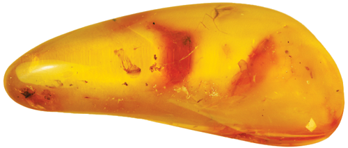 6,25 g Amber Nugget with inclusion (2)