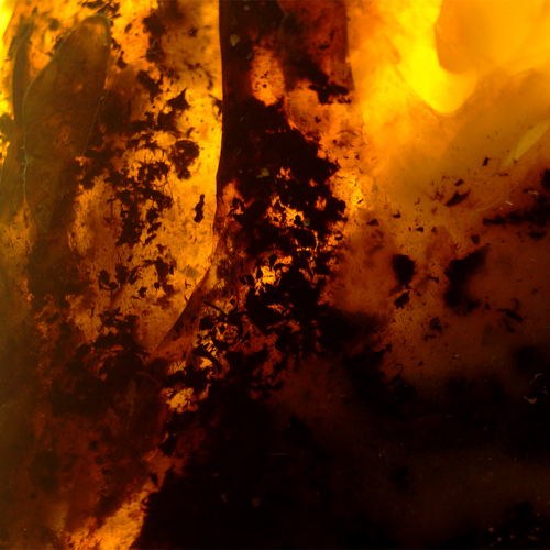 110 g Gintaro grynuolis (3)