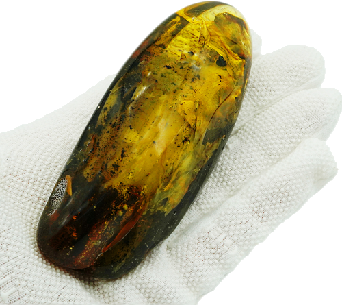 89,10 g Gintaro grynuolis su inkliuzu (1)