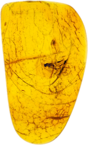 1,40 g Amber Nugget with inclusion (1)