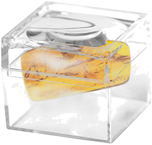 2,15 гр. Самороден кехлибар с фосил (2)