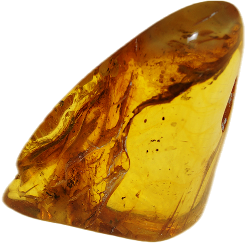 16,35 g Amber Nugget with inclusion (3)