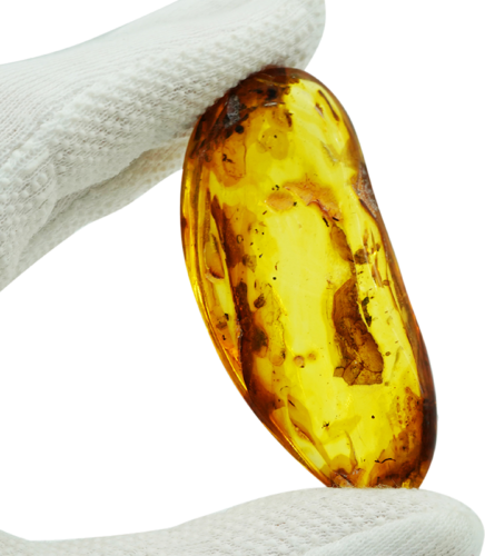 16,50 g Amber Nugget with inclusion (1)