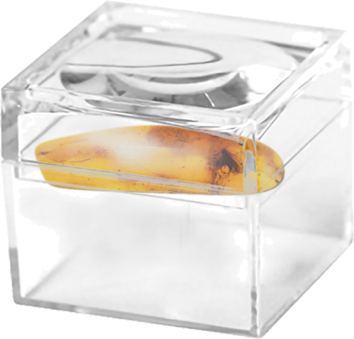 Самородок янтаря с инклюзом 1,30 г (2)