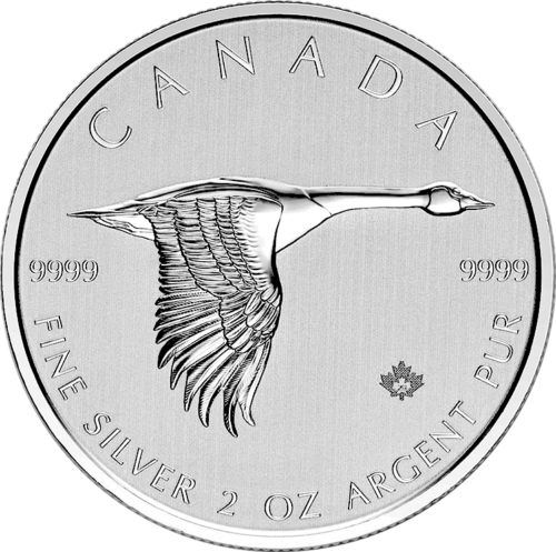 2 oz Goose 2020 Canada silver coin (1)