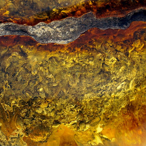 19,85 g Amber nugget with tree bark inclusion (2)