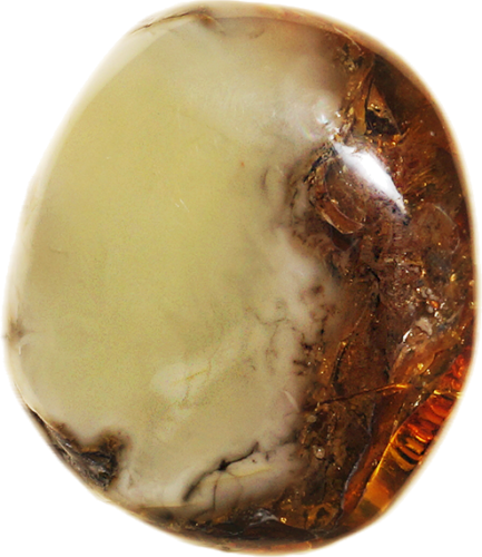 15,85 g Amber Nugget (3)