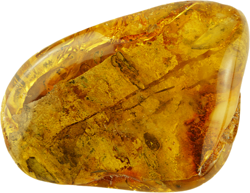 33,50 g Amber nugget with tree bark inclusion (1)