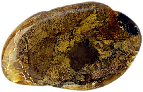 16,30 g Amber nugget with tree bark inclusion (1)