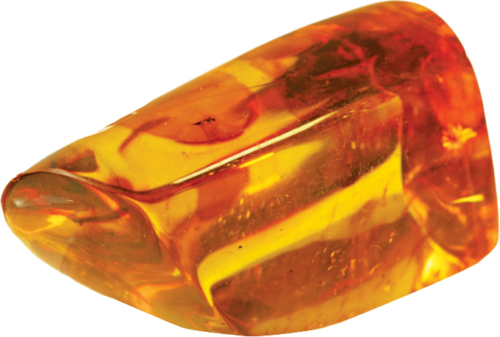 15,65 g Amber Nugget with inclusion (2)