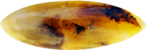 6,25 g Amber Nugget with inclusion (1)