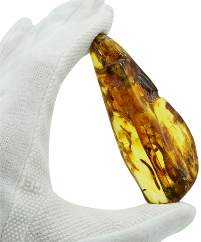 42 g Gintaro grynuolis su voro inkliuzu (3)