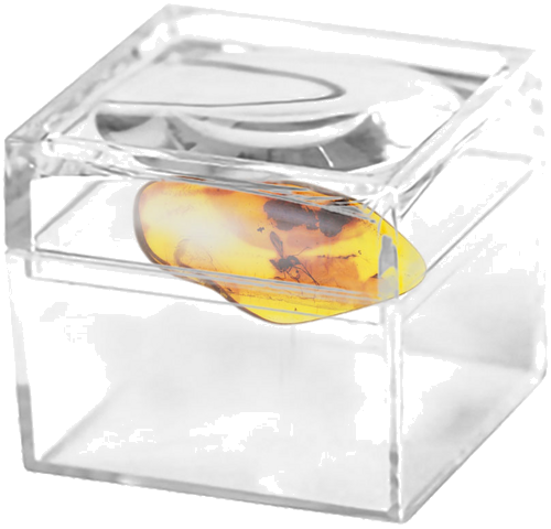 1,15 g Amber Nugget with inclusion (2)