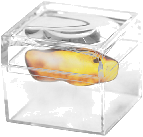 1,60 g Amber Nugget with inclusion (2)