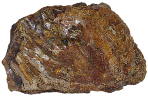 310 g Gintaro grynuolis (2)