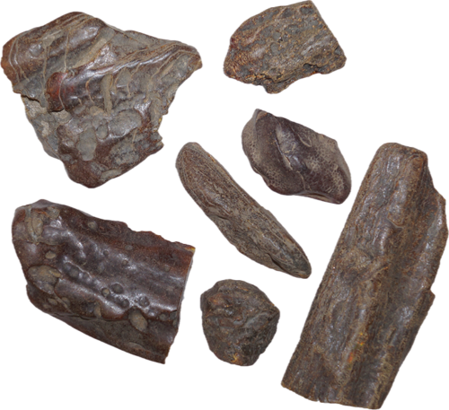 Gintaro žaliava 20 g - 100 g (2)