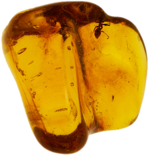 3,90 g Amber Nugget with Ant inclusion (1)