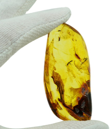 23,55 g Amber Nugget with inclusion (1)
