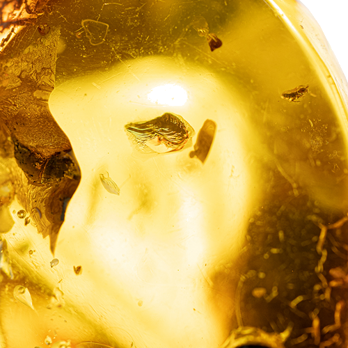 36,05 g Amber Nugget with inclusion (2)