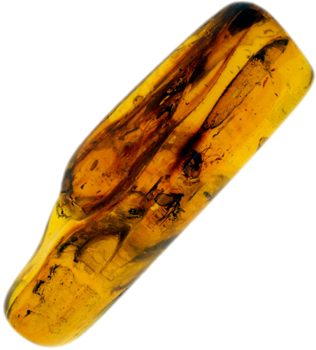 5,85 g Gintaro grynuolis su inkliuzais (1)