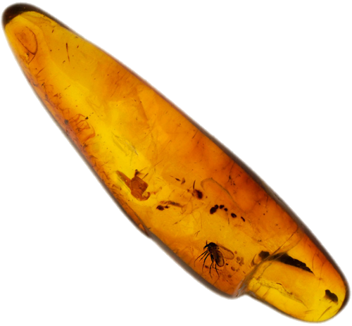 1,10 g Amber Nugget with inclusion (1)