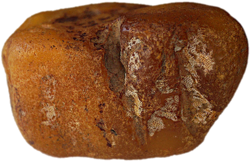 43,15 g Sea amber nugget (1)